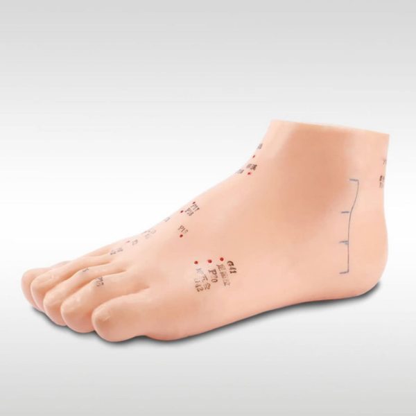 مولاژ پا حروف لاتین